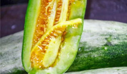 网红吃瓜在线看,在线观看的娱乐狂欢