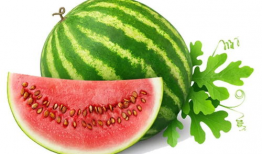 吃瓜网官网免费,免费畅享娱乐资讯的乐园