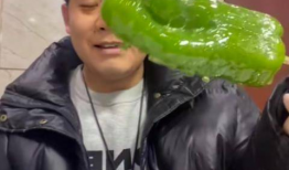 网红丑事吃瓜视频大全,吃瓜群众必备的丑事视频大全