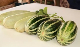 吃网红瓜,那些你不知道的“吃瓜”故事